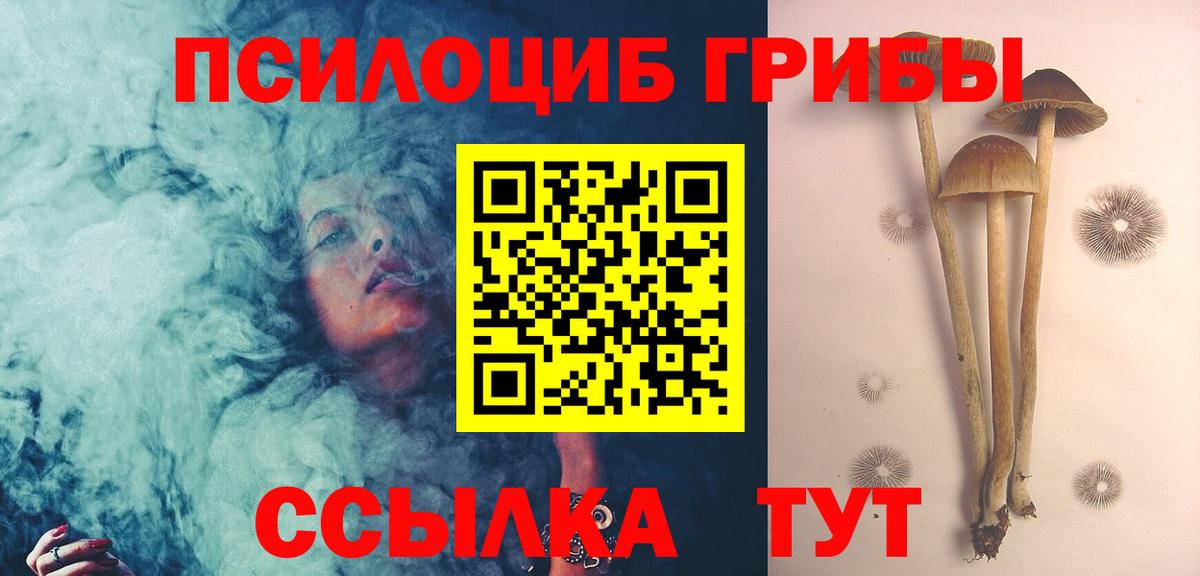 Краснознаменск  Галлюциногенные грибы MAGIC MUSHROOMS  Псилоцибиновые грибы ЛСД  Вход с VPN 